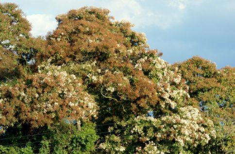 Captura de pantalla (28) - Canora Muebles